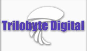 Trilobyte Digital | SEO Brighton